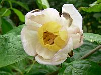 2011-06-18_13-41-06_0030