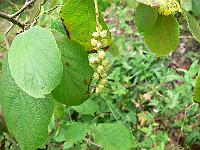 2011-07-21_18-43-07_0053