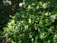08-05-2006_11-27-47_286