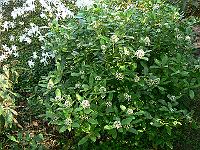 09-05-2006_08-55-06_41