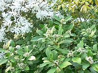 09-05-2006_19-11-22_136