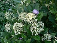16-04-2007_09-59-17_26