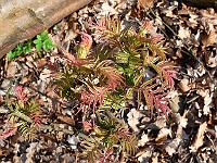 2009-04-10_15-24-50_0001