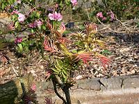 2009-04-10_15-25-05_0004