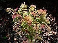 2009-05-09_08-12-22_0005