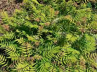 2011-06-01_11-22-08_0085