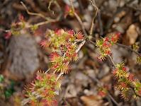 2012-03-16_11-12-05_0037