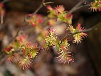 2012-03-16_11-12-29_0040
