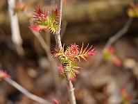 2012-03-16_11-12-48_0043