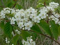 2011-05-14_11-00-52_0027