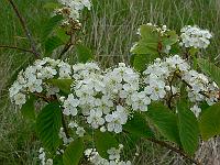 2011-05-14_11-00-58_0028