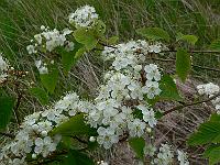 2011-05-14_11-01-36_0031