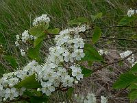 2011-05-14_11-01-45_0034