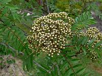 2011-05-15_08-54-35_0064