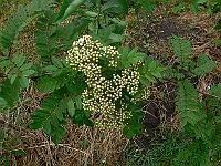 2011-05-17_09-56-06_0067