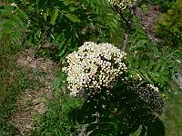 2011-05-19_09-10-34_0132