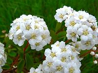 2010-06-07_15-30-33_0059