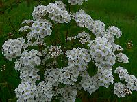 2010-06-08_08-51-34_0050