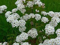 2010-06-08_08-51-53_0055