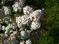 2010-06-16_08-27-15_0077