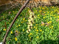 02-04-2007_17-00-45_101