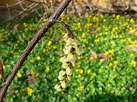 02-04-2007_17-00-49_102