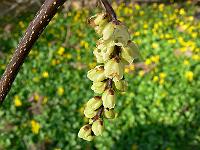 02-04-2007_17-00-57_104