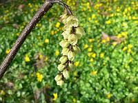 02-04-2007_17-01-01_105
