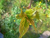 02-04-2007_17-01-20_110
