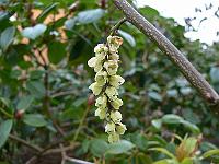 08-04-2007_09-29-53_09