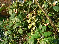 16-04-2007_19-21-18_08
