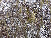 12-04-05canon_082