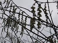12-04-05canon_087