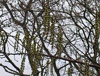 12-04-05canon_088