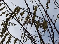 12-04-05kodak_062