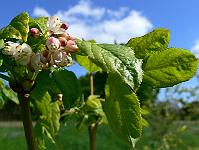 2010-05-26_10-15-30_0025