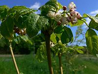 2010-05-26_10-15-31_0027