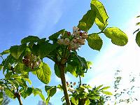 2010-05-27_07-56-09_0099