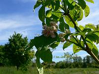 2010-06-02_10-26-31_0021