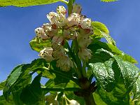 2010-06-02_10-26-51_0022