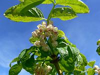 2010-06-02_10-26-51_0024
