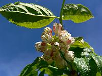 2010-06-02_10-27-40_0028