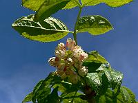 2010-06-02_10-27-51_0032
