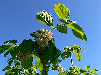 2010-06-03_08-26-59_0081