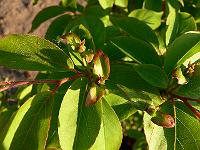 2008-05-22_04-57-39_0109
