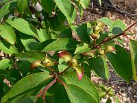 2008-06-17_08-25-10_0041