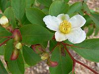 2008-06-29_14-12-21_0015