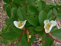2008-06-30_15-04-53_0107