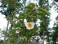 2011-07-19_20-33-43_0191