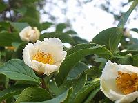 04-07-05kodak_647